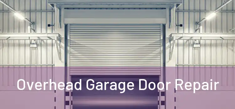  Overhead Garage Door Repair 